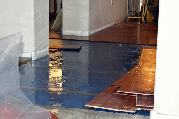 Professional Basement Flood Cleanup technician working in Duquesne, MO